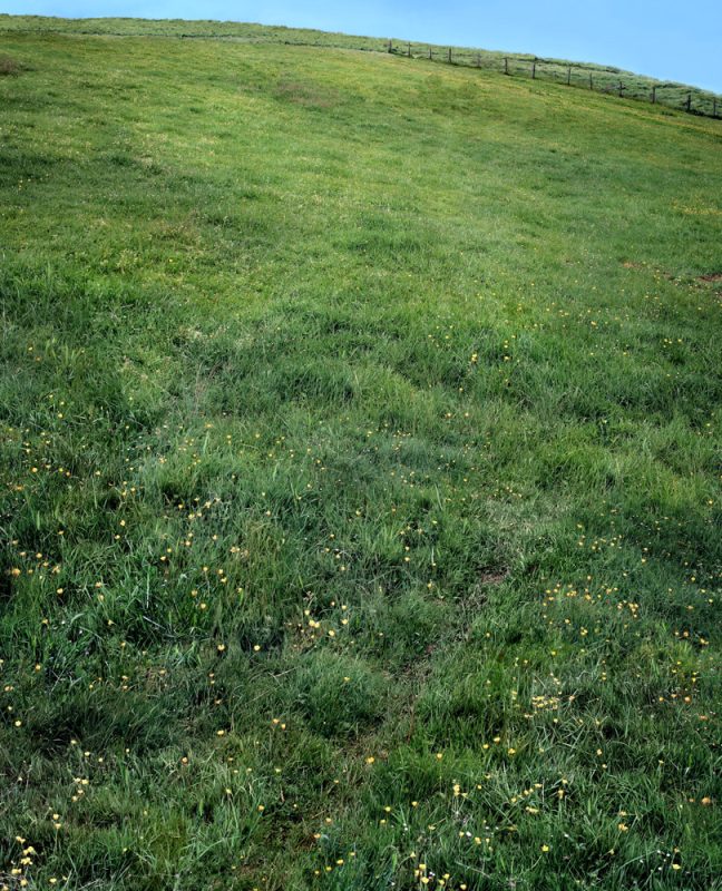 CdRK_A2_carma casula