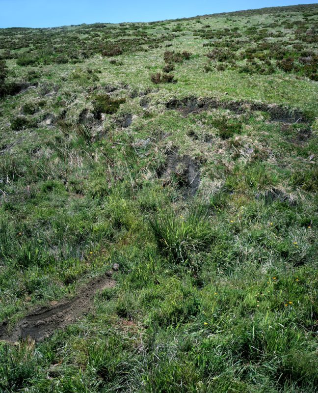 CdRK_A3_carma casula