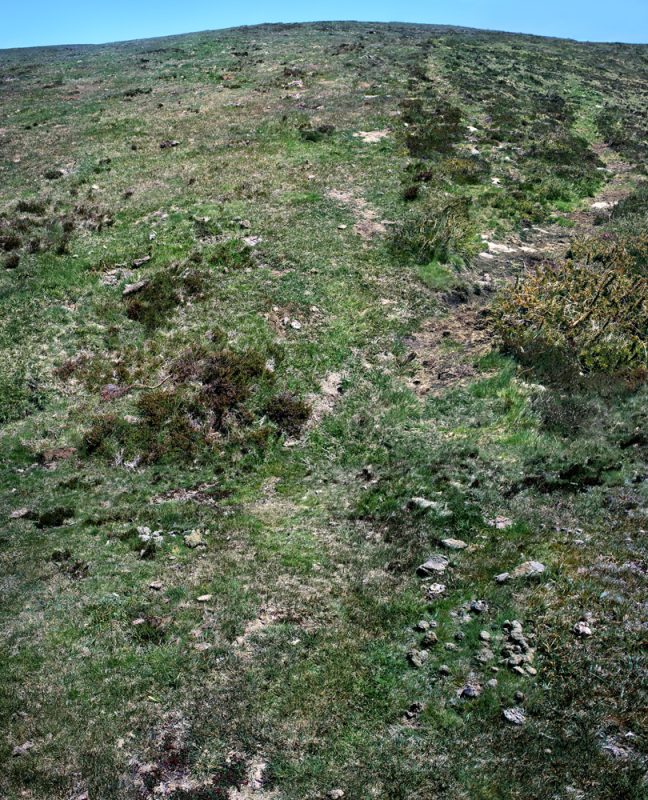 CdRK_A4_carma casula