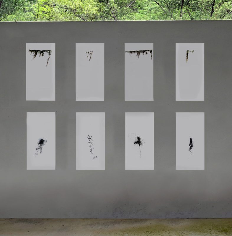 CdRK_A5_carma casula