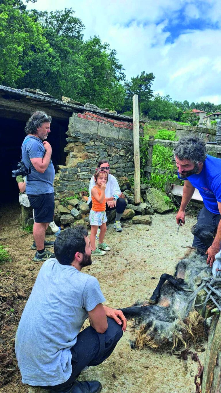 WhatsApp_Image_2023-07-24_at_13.13.23_(1)